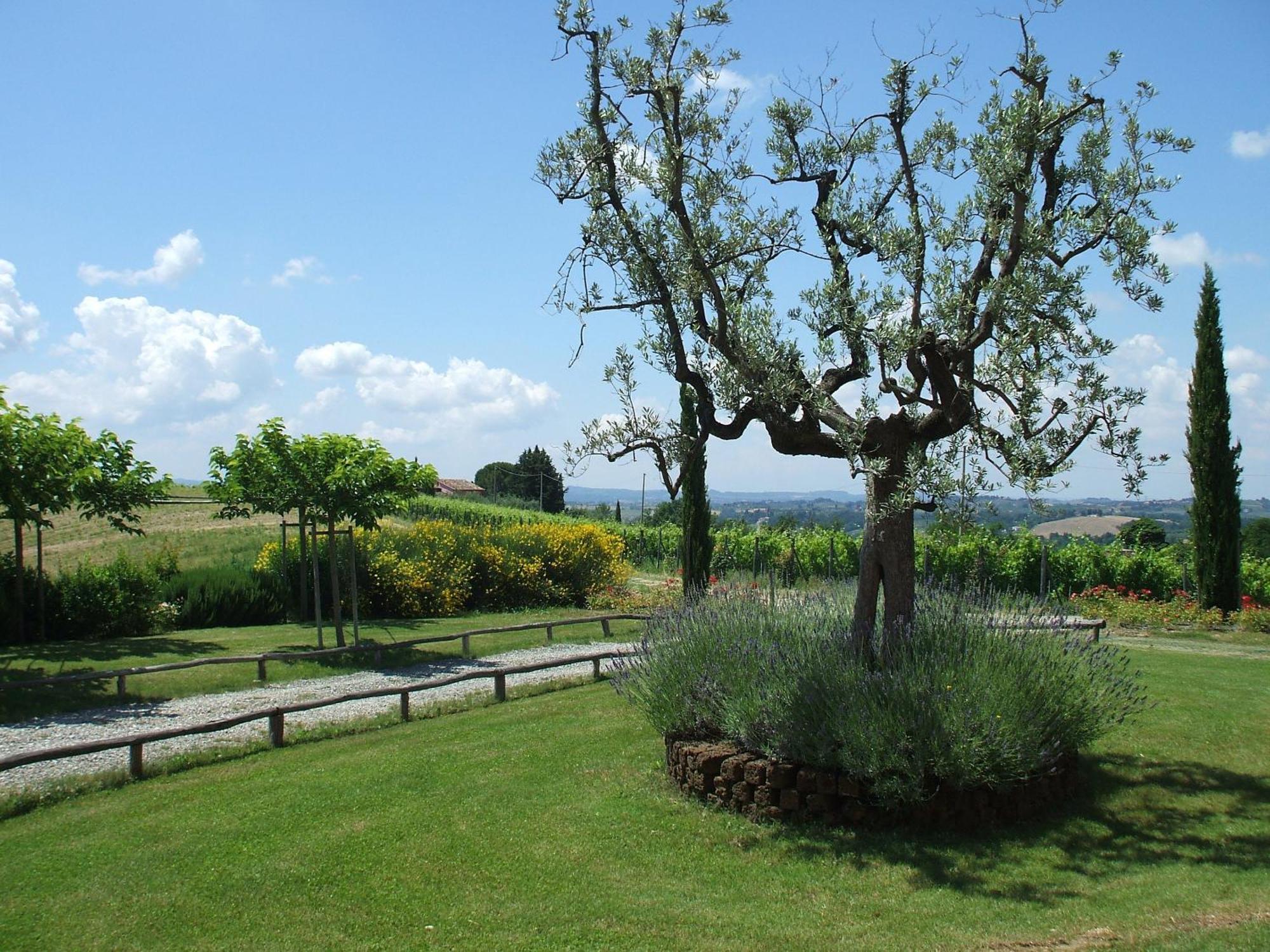 Le Fonti A San Giorgio Villa Montespertoli Exteriör bild