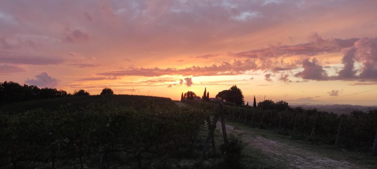 Le Fonti A San Giorgio Villa Montespertoli Exteriör bild
