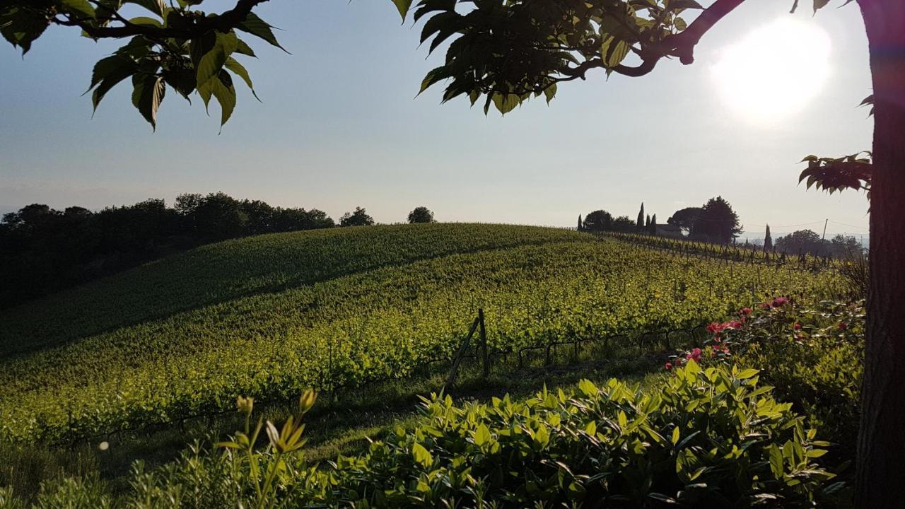 Le Fonti A San Giorgio Villa Montespertoli Exteriör bild